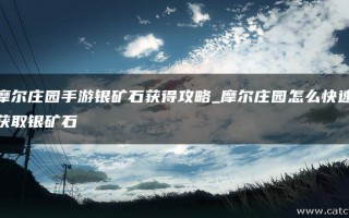 摩尔庄园银矿石怎么得 银矿石特征