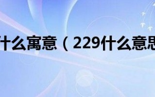 229什么意思，229的寓意是什么意思