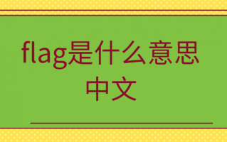 flag是什么意思中文？zhim是什么意思